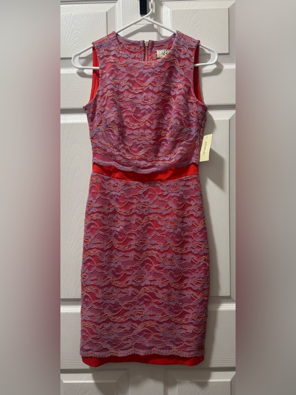Ice Pink and Red Lace Mini Dress